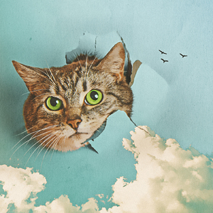 明星扒开腿给我舔
